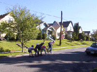York Kids(click for larger image)
