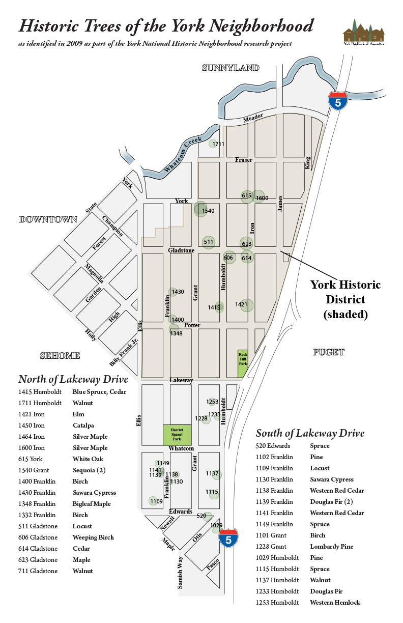 Historic Trees of the York Neighborhood�February 2019