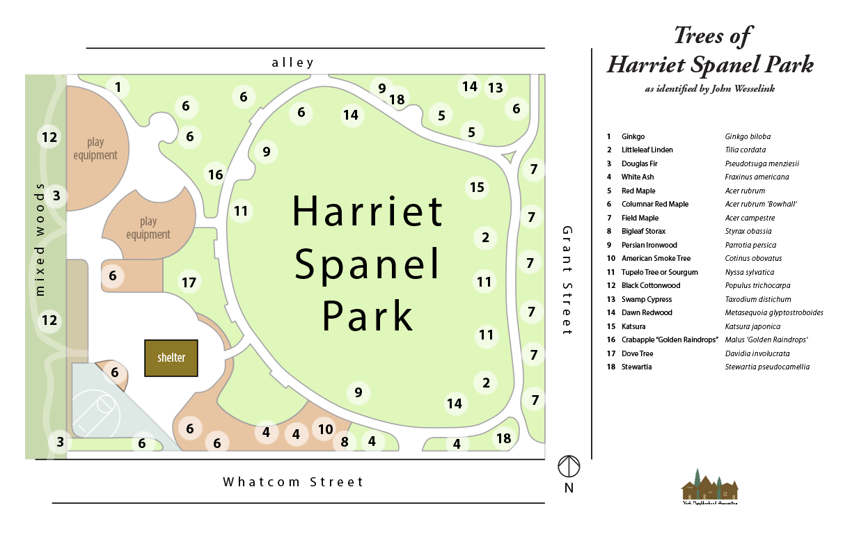 Trees of Harriet Spanel Park�February 2019